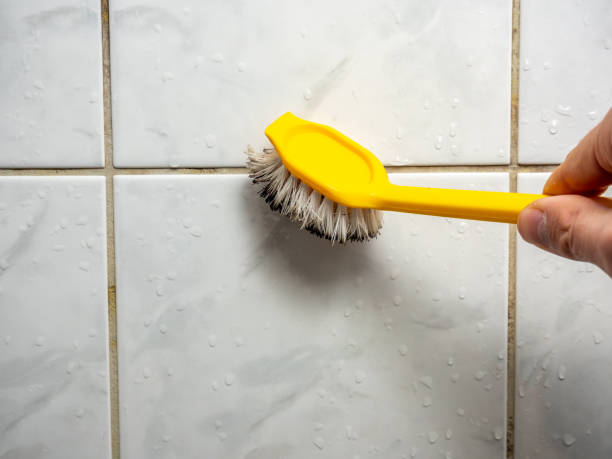  Florence, TX Mold Removal Pros