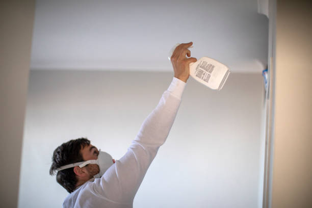 Best Mold Testing and Inspection Services in Florence, TX