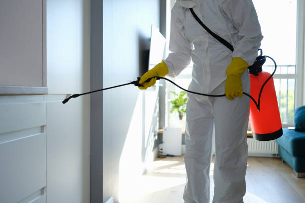 Best Kitchen Mold Remediation in Florence, TX