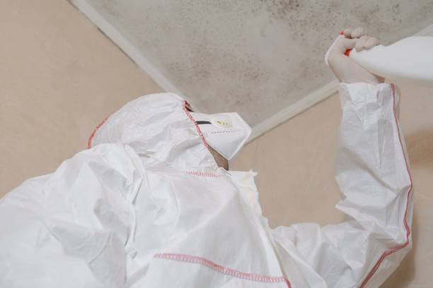 Best Residential Mold Remediation in Florence, TX